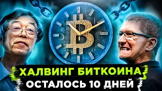 ВЫ ГОТОВЫ К ТОМУ ЧТО СЛУЧИТСЯ НА ХАЛВИНГ! БИТКОИН ВОТ-ВОТ СОВЕРШИТ ЧТО-ТО БЕЗУМНОЕ (важно знать)