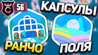 ВСЕ КАПСУЛЫ СОКРОВИЩ РАНЧО И РАДУЖНЫЕ ПОЛЯ! Slime Rancher 2 #56