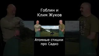 Атомные стишки про Садко #Shorts