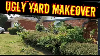 UGLY YARD BEFORE AND AFTER - OVERGROWN LANDSCAPING BEFORE AND AFTER  - Fixing overgrown landscaping