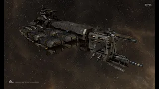 Rorqual Roadkill