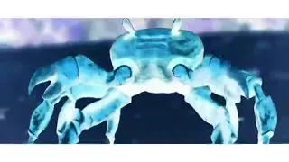 crab rave thingie but in g major