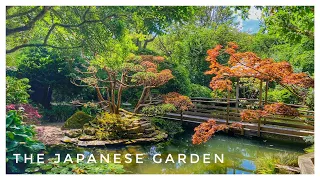 THE JAPANESE GARDEN, ST MAWGAN CORNWALL, 2023, 4K 60FPS