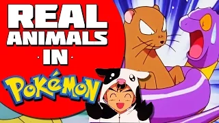 Real World Animals in the Pokemon Universe?!