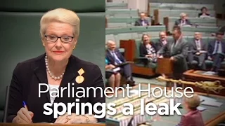 Parliament House springs a leak