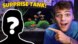 SURPRISING My GIRLFRIEND with NEW AQUARIUM for Her FISH!!!