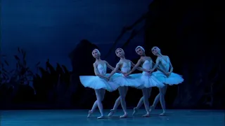 Four Little swans from four top theaters