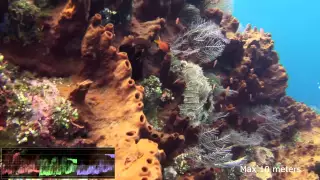 GoPro Hero 3 Black Underwater  - Protune & CamRaw Color at various depths