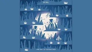SYML - Believer