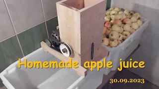 Homemade apple juice