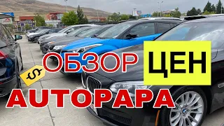 ОБЗОР ЦЕН НА РЫНКЕ AUTOPAPA В ГРУЗИИ