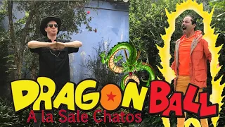 Dragon Ball "Versus" Un Video de Sale Chatos
