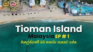 Paulo Tioman Island Malaysia  | Berjaya Tioman Resort | snorkeling | open water diving | ATV Ride