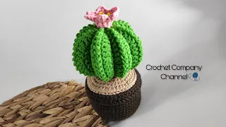 زهره الصبار كروشيه - Crochet Cactus