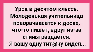 Как Молодая Училка Урок в Десятом Классе Вела! Сборник Свежих Смешных Жизненных Анекдотов!