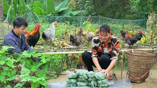 Harvest Peas & Smoked Meat for sale . Dredging clean water canals - Forest life skills DT