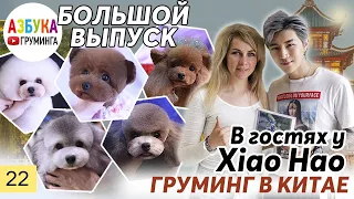 Обучение в Китае. Школа груминга. Большой выпуск!