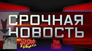 Эублефары наконец-то снесли яйца! Инкубатор для эублефаров