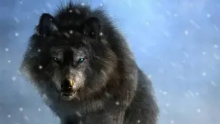 وثائقي - الذئاب الرهيبة Dire Wolves - حيوانات منقرضة عاشت فيما قبل التاريخ