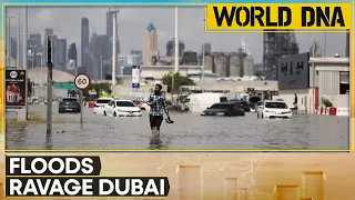 Dubai rain: Travel chaos in Dubai, floods turn Dubai airport into a lake | WION World DNA