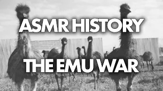 ASMR History | The Great EMU War (Whispered)