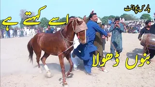 Shahswar Bannu khan Theem | G oo Bannu G | Punjab Horse Dance Mela | Kmal Kr Diya Ghorey  Ne |