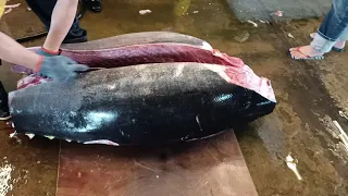 Over 300 kg BLUEFIN TUNA bidding, Skillful Cutting by Top Master