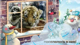 С новым годом Тигра! С китайским Новым годом!