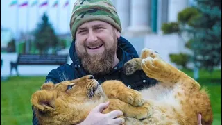 12 фотографий президента Чечни Рамзана Кадырова с животными