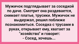 Мужичок Подглядывает за Соседкой по Даче! Сборник Свежих Смешных Жизненных Анекдотов!