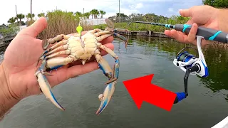 Using Big Crabs for Bayou MONSTERS!!