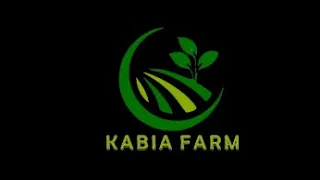 Our Work at Kabia Farm - Making Agriculture Sustainable in Sierra Leone