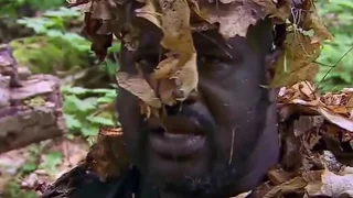 shaq in the wild