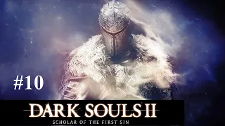 Роща охотника. Духи-вторженцы [Dark Souls 2 Scholar of the First Sin #10]