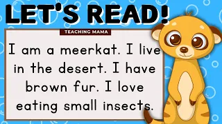LET'S READ! | ENGLISH READING PRACTICE | ANIMAL SENTENCES | TEACHING MAMA