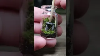 Watch me make a mini terrarium 🌿🌿 and Rate this in 1-10 || #shorts #terrarium 🌿🌿🌿||