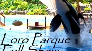 Full Orca Show - Loro Parque