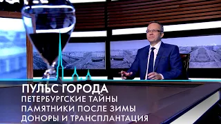 Пульс города. Полигон «Красный Бор», петербургские памятники, День донора. 21 апреля 2023