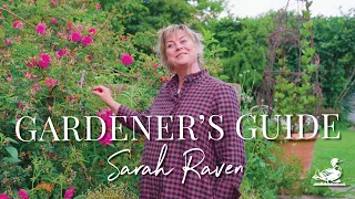 Sarah Raven: Tips And Tricks From Her Perch Hill Garden | Country Living UK