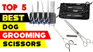 Top 5 Best Dog Grooming Scissors Reviews in 2022