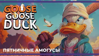 Пятничные амогуси | Eville и Goose Goose Duck (24.05.2024)