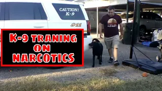 How to Train a Drug Dog :Drug Dog Demonstration,Train k-9 on nose work