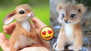 Cute Baby Animals Videos 😽🐾 TikTok Compilation 2023 | Cute moments | JoysPets