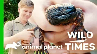 Gorgeous Giraffes and Venomous Gila Monsters! | Wild Times