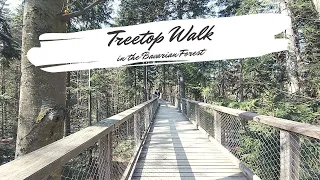 Baumwipfelpfad Bayerischer Wald | Tree Top Walk | Bavarian Forest [E Subtitles]