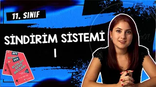 15) SİNDİRİM SİSTEMİ 1 | 11. SINIF | AYT BİYOLOJİ DERS NOTLARI | 2024