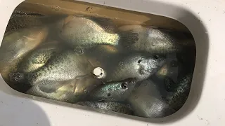 How to Catch Limits of Spawning Crappie in 2’ of Water!!