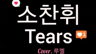 소찬휘 - Tears (cover. 루멜)