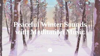 [Therapy] Magical Frozen Forest Ambience with Relaxing Music | Snowfall Sounds in Winter Landscape