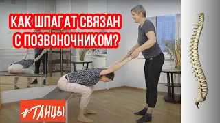 Как шпагат связан с позвоночником?